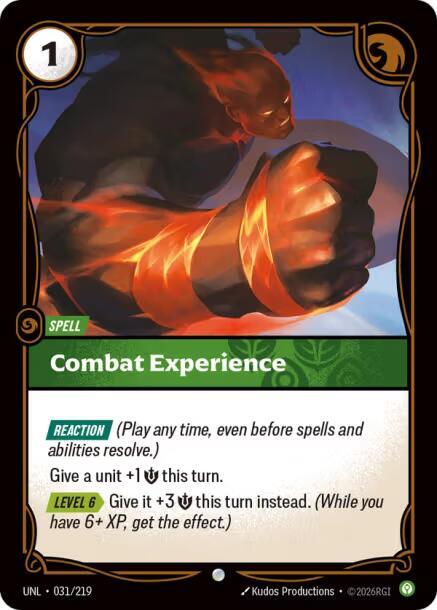 Combat Experience #31