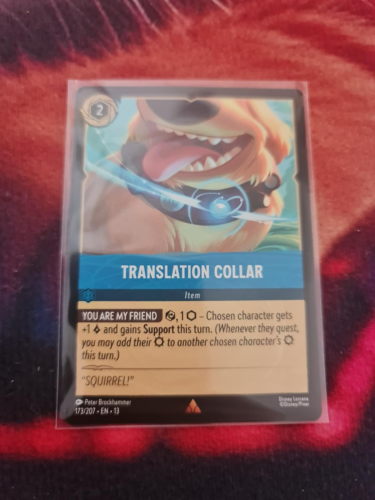 Translation Collar #173