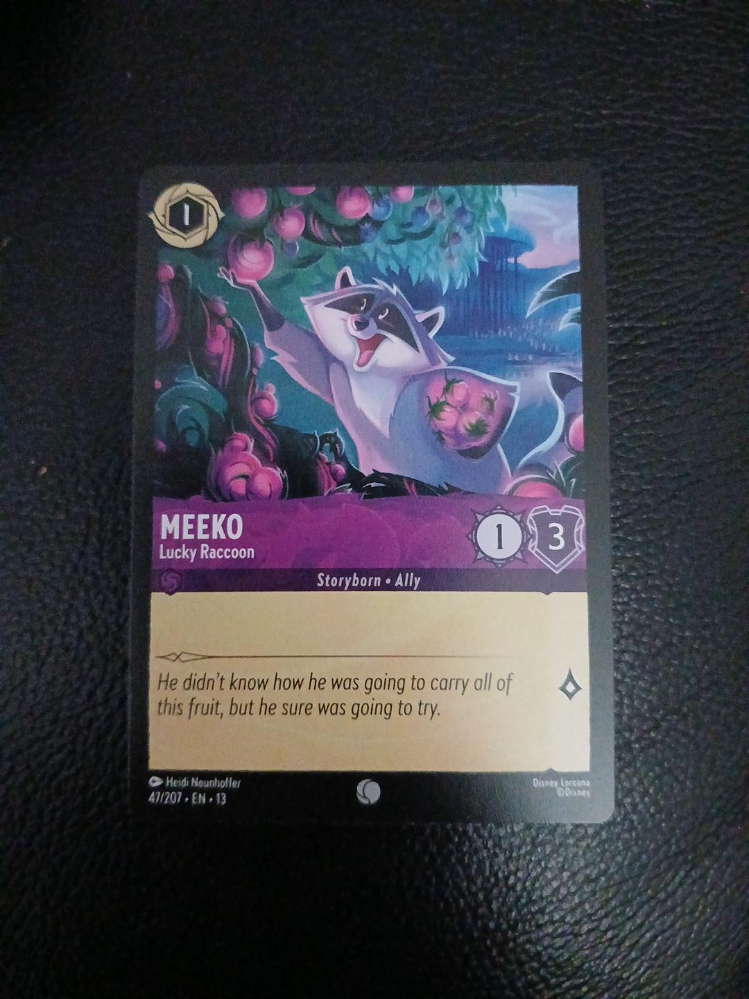 Meeko - Lucky Raccoon #47